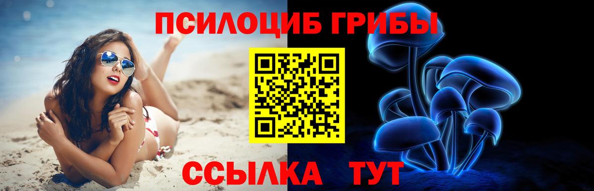 Галлюциногенные грибы прущие грибы Можайск